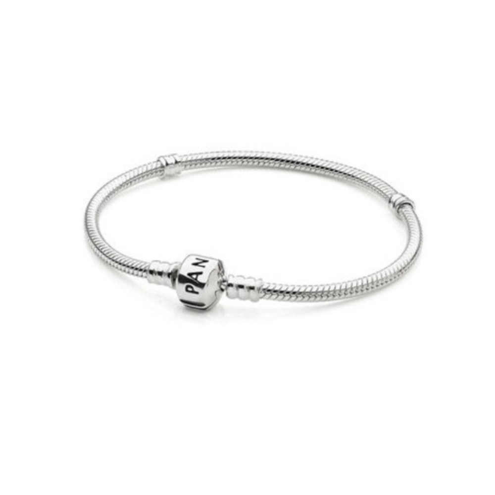 ❤️NWOT - Iconic Silver Charm Bracelet❤️